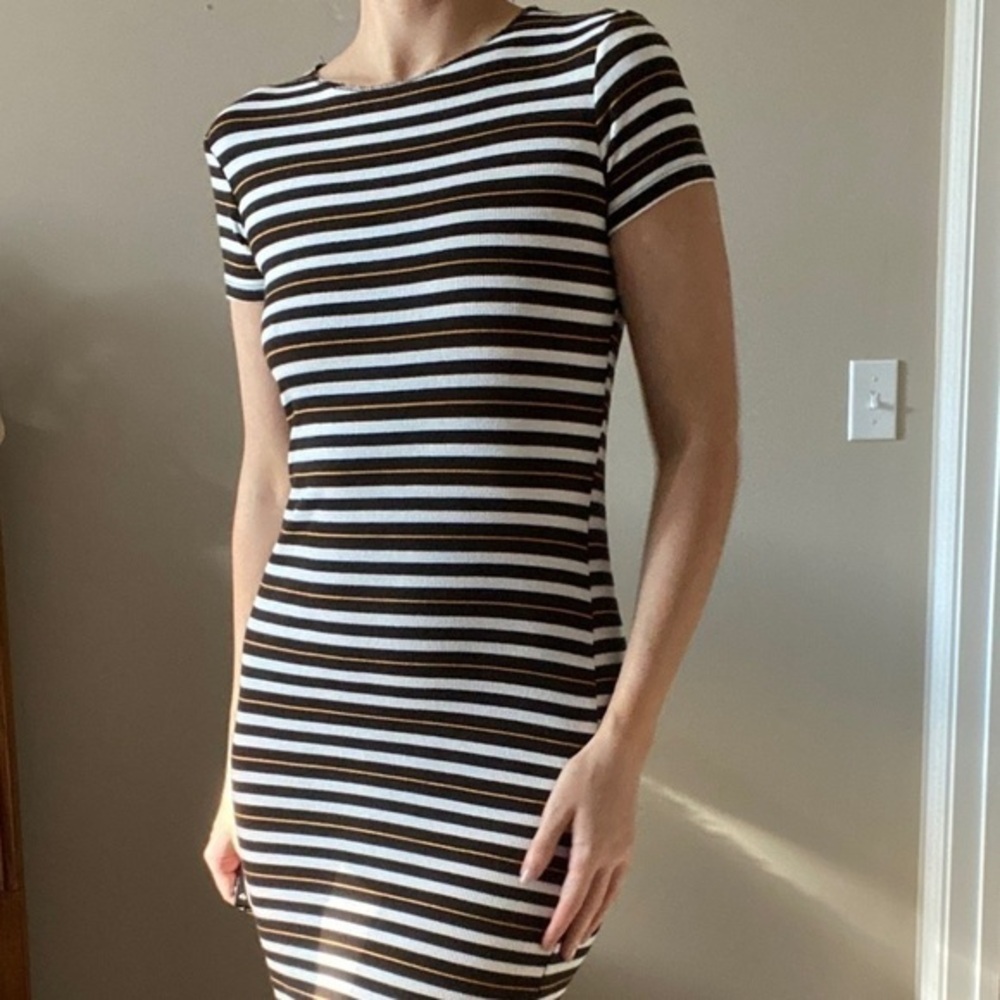 Zara Knit Striped Dress
